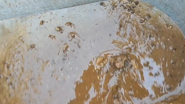 Замачиваем соты, топим воск, результат