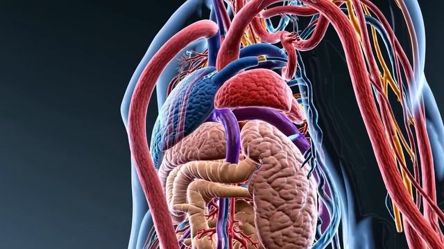 Сильнейшее натуральное средство против ВИРУСОВ, ВОСПАЛЕНИЙ и БАКТЕРИЙ — Монолаурин смотреть онлайн