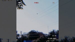 Ирина Осокина