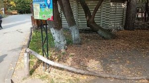 1000005545.mp4 зоопарк