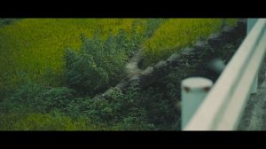 A MOMENT OF MY LIFE #013    Japanese Countryside Fukuoka - 棚田のある夏の風景