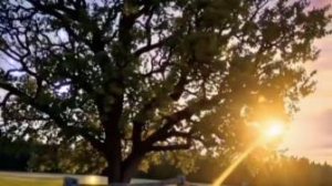 Умные Мысли