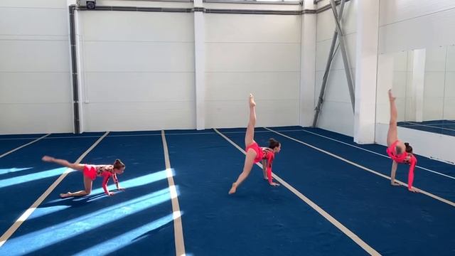 ТР 1 спортивный, Мельникова - Суханова - Осипова, РОО ФСА Карелия, Балансовое упражнение