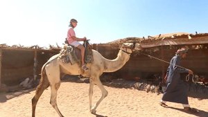 Сафари по пустыне Египта.