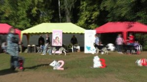 Сравнение открытого класса