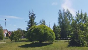 Цветочный сквер в Белом городе Великого Новгород