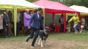 Расстановка СЮ