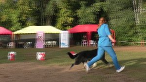 МВ Шелковица