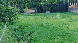 e825a535-80c9-48ed-9592-b7a78ce3cccc-1_all_1368.mp4