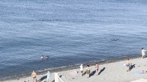 24 сентября .Море утром,пляж Лазаревское,Сочи