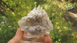 Сингенит купить