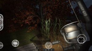 ЛОВЛЯ НОЧНОГО КАРПА НА БОЙЛЫ , КУКУРУЗУ , И ХЛЕБ.ПОПАЛСЯ КАРП КОИ?!НОЧНЫЕ ОТНОСИТЕЛЬНО БОЛЬШИЕ КАРПЫ