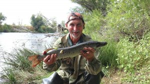 В поисках зубастой разбойницы.