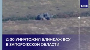 Д-30 уничтожил блиндаж ВСУ в Запорожской области