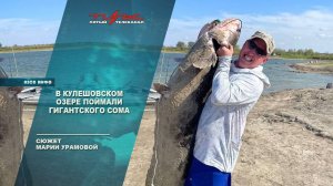 В Кулешовском озере поймали гигантского сома
