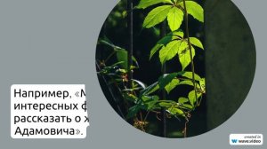 Фамилия Адамович: все, что вы хотели знать о происхождении, значении и склонении этой фамилии в