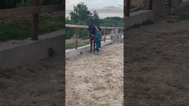 rutube.ru