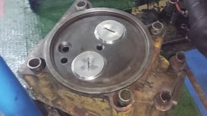 МКО. ВОЛГОГРАД 20 ДНЕЙ