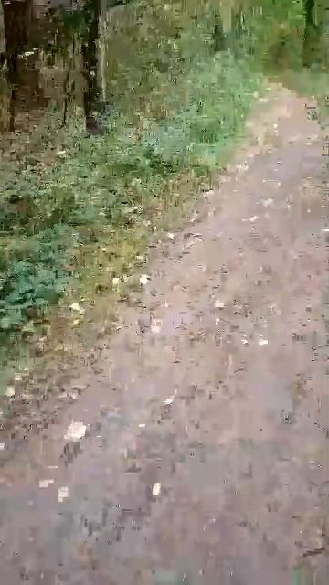 24-09-2025 смотреть онлайн