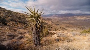 Послание создателям