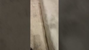 1000001663.mp4
