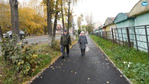 СРЕДА (Осенние виды Тары) (24.09.2025)