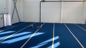 ЖП 13-19, Ильюхина - Ильина , СШ №1, Комбинированное упражнение