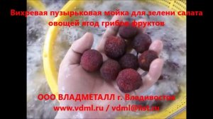 Вихревая пузырьковая мойка для зелени салата овощей ягод грибов фруктов