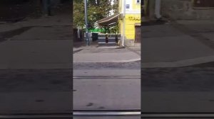 Поездки в общественном транспорте | 24-сен-2025