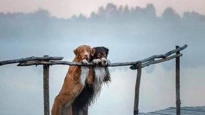 летний дождь