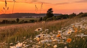 ❤️🔥Рум тур❤️🔥 /Avatar world/