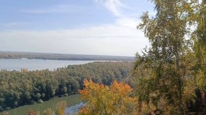 Красавица- Ранняя Осень.