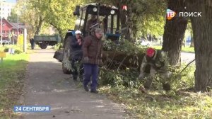 На улице Новоямской опилили деревья