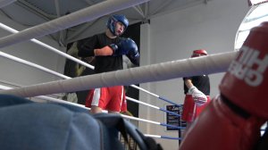 Сальчанки отличились в Краснодаре на боксёрском турнире