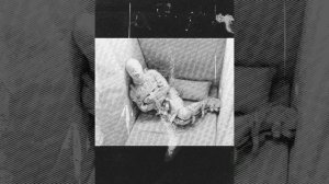 GugaST project-Lady Gaga