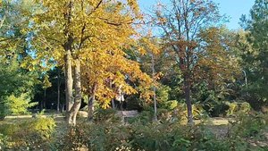 Прогулка под музыку утра.