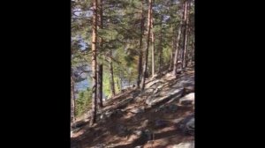 Вчера шёл дождь