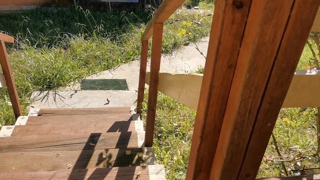 СОЧИ ГОРНОЕ ЛОО УТРО 24.09.2025