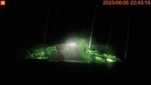 ночная прогулка 🍁