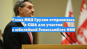 Глава МИД Грузии отправилась в США для участия в юбилейной Генассамблее ООН