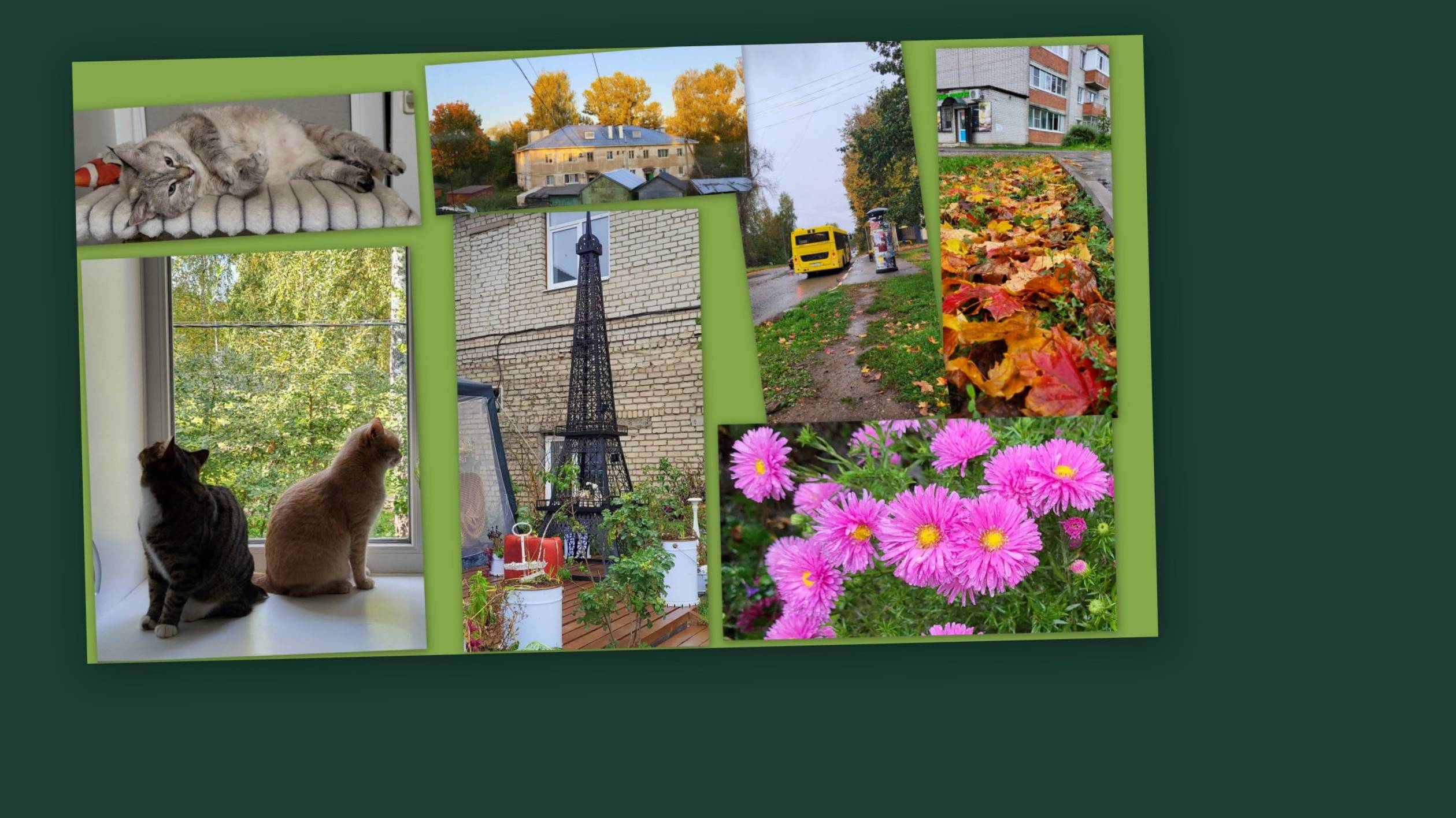 ВЛОГ: ПОД ДОЖДЕМ...