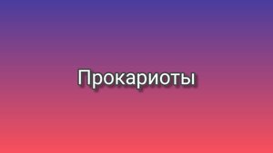 Прокариоты. Бактерии.