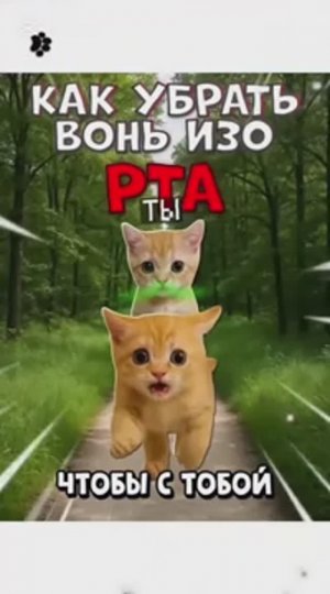 ПОДГОТОВКА К ВЗРОСЛОЙ ЖИЗНИ / Как убрать Вонь изо Рта? / Как набить первую тату?/ Как убраться Дома