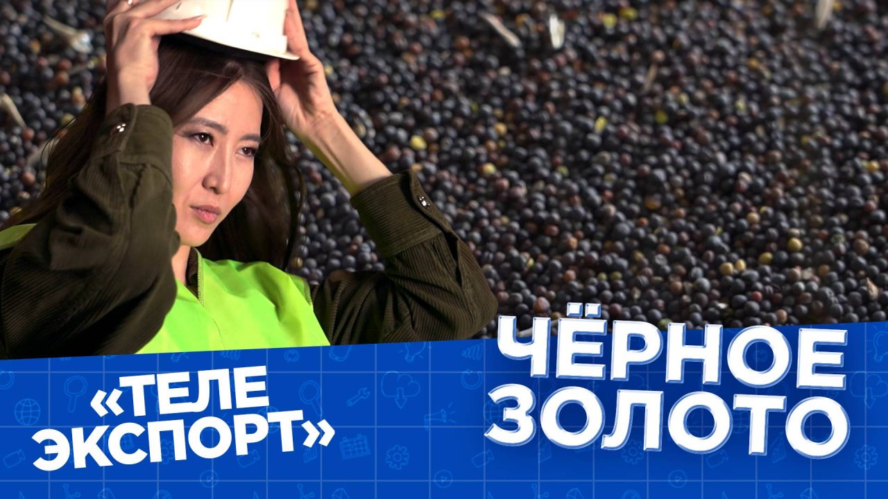 Производство рапсового масла | Телеэкспорт