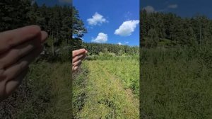 Участок у реки в Иркутске