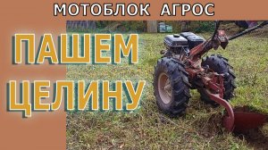 МОТОБЛОК АГРОС 2025, ПЛУГ МТЗ, ШИНЫ ГРУБЕРГ 7.00-12, ПАШЕМ 24.09.25