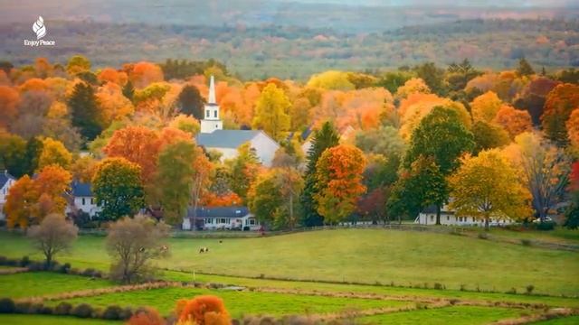 Beautiful Relaxing Music 🍁 Autumn Melodies for Stress Relief _ Healing смотреть онлайн