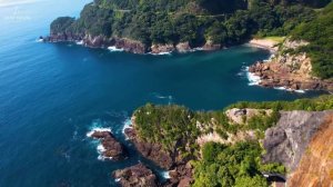 Chill & Luxe 🌴 Summer Deep House Remix 2025 | Tropical Beast| Deep House Pulse