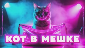 Кот в Мешке №1 • конкурс с экраном для ведущих