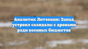 Аналитик Литовкин: Запад устроил скандалы с дронами ради военных бюджетов